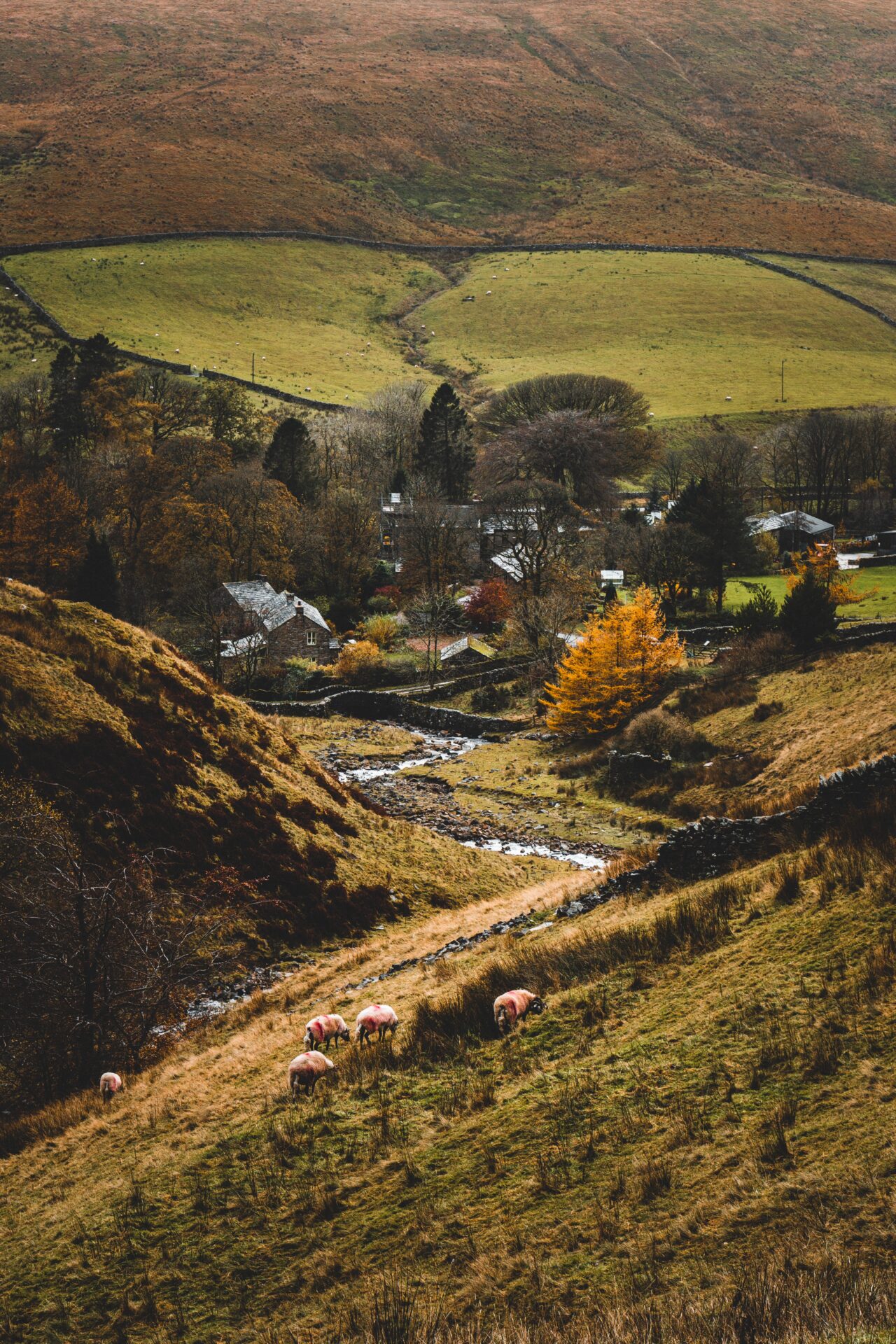 Yorkshire Dales